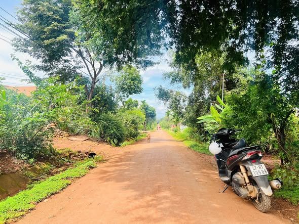 Đất nền Cư Suê 300m² giá 770 triệu - Đầu tư sinh lời ngay!