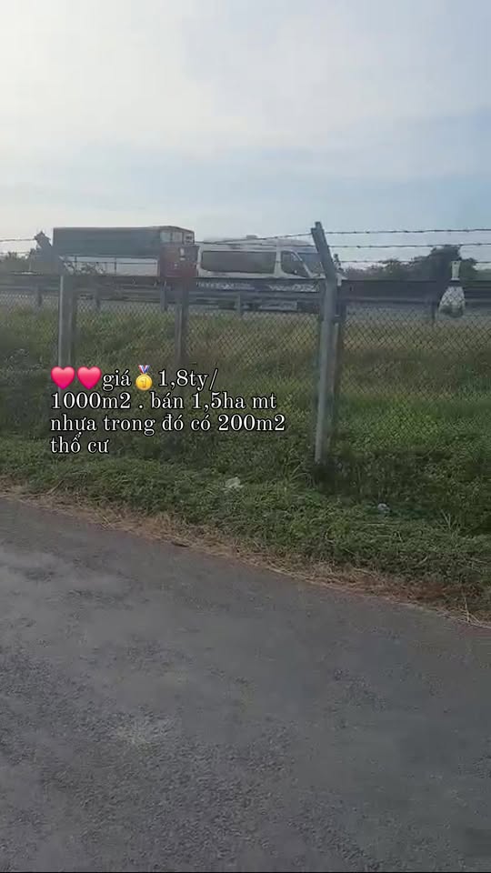 Đất mặt tiền nhựa công vụ Thạnh Đức, Gò Dầu 15861m² giá 1,8 tỷ - Cơ hội đầu tư tuyệt vời!