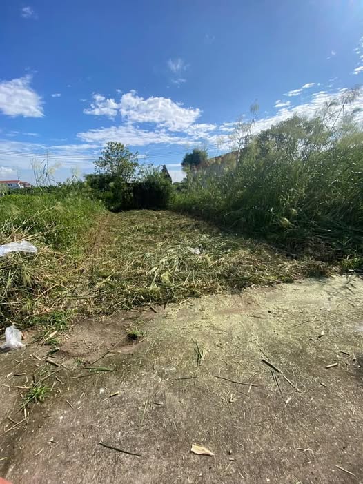 Đất nền Thư Phú Thường Tín 60.1m² giá 2 tỷ - Vị trí thuận lợi để đầu tư!