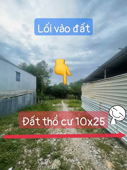 Bán gấp lô đất vườn 12.000m² mặt tiền Tân Lộ Kiều Lương, An Giang - Đầu tư sinh lời!