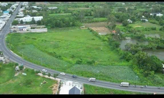 Đất nông nghiệp mặt tiền QL91, xã Mỹ Đức, Châu Phú 9000m² - Giá tốt, cơ hội đầu tư!