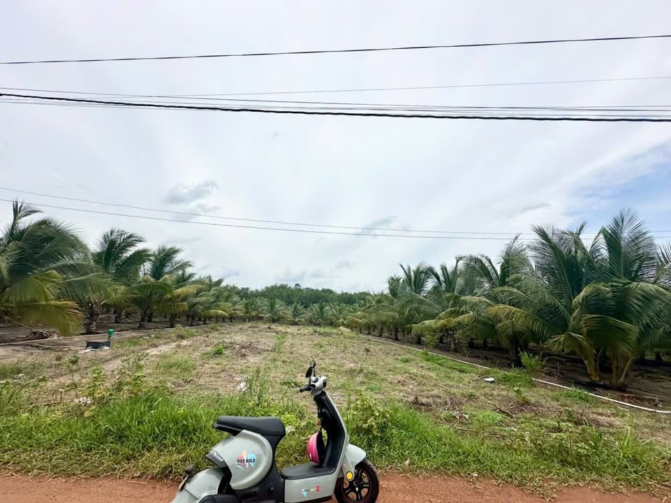 Đất thổ cư Tân Đông Tân Châu 866m² giá chỉ 40 triệu - Đường ô tô vào tận nơi!