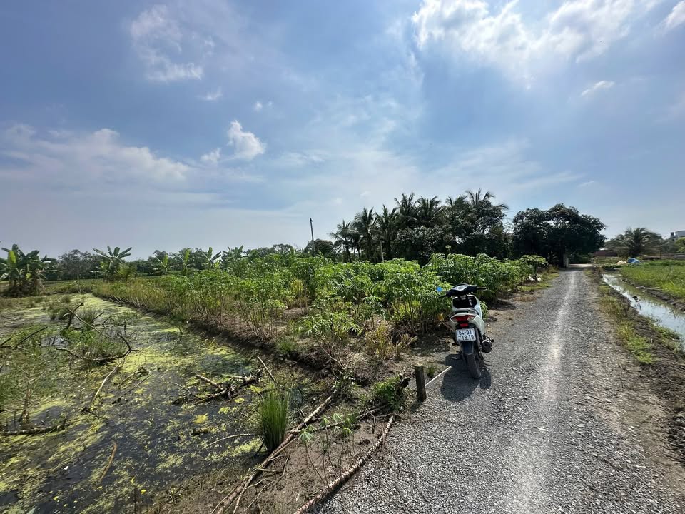 Đất nền Bình Chánh 520.8m² giá 2.5 tỷ - Sổ hồng riêng, thương lượng tốt!