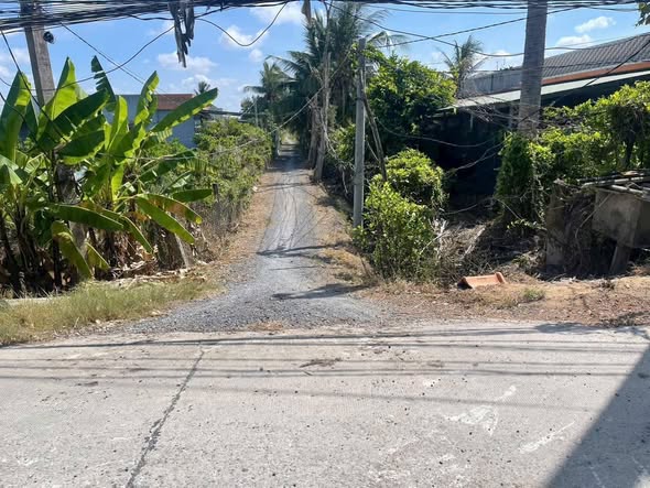 Đất vườn 1100m² tại Bình Đức, Long An - Giá chỉ 900 triệu!