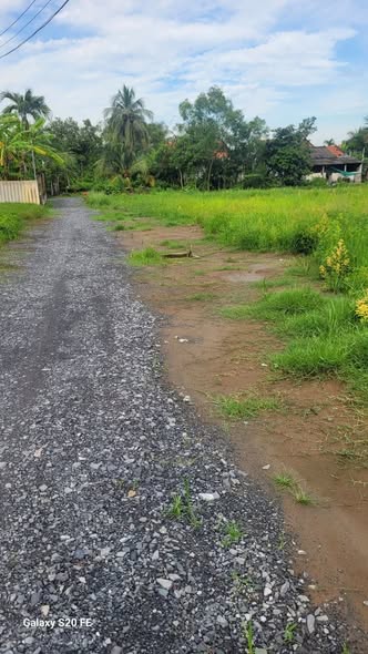 Đất nền 166m² tại Ấp 1A, Thanh Phú, Bến Lức - Giá chỉ 1.5 tỷ