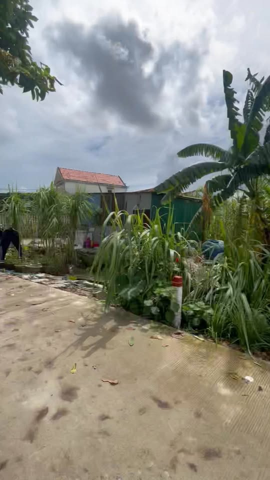 Đất nền mặt tiền Phạm Hữu Nhật, Thị Trấn La Hà 144m² giá 800 triệu - Cơ hội đầu tư hấp dẫn!