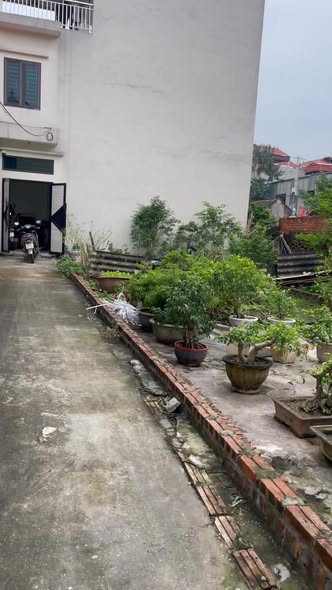 Đất nền tại chợ Đông, Đan Phượng 40m² giá 3 tỷ - Cơ hội đầu tư không thể bỏ lỡ!