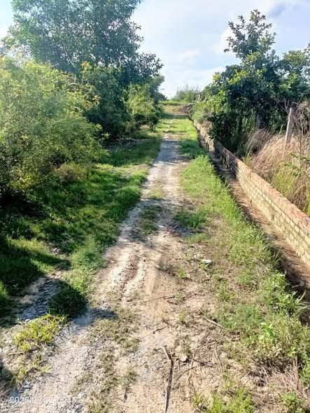 Đất mặt kênh Trường Xuân, Hòa Thành, Tây Ninh 33000m² giá 3.1 tỷ - Cơ hội đầu tư lý tưởng!