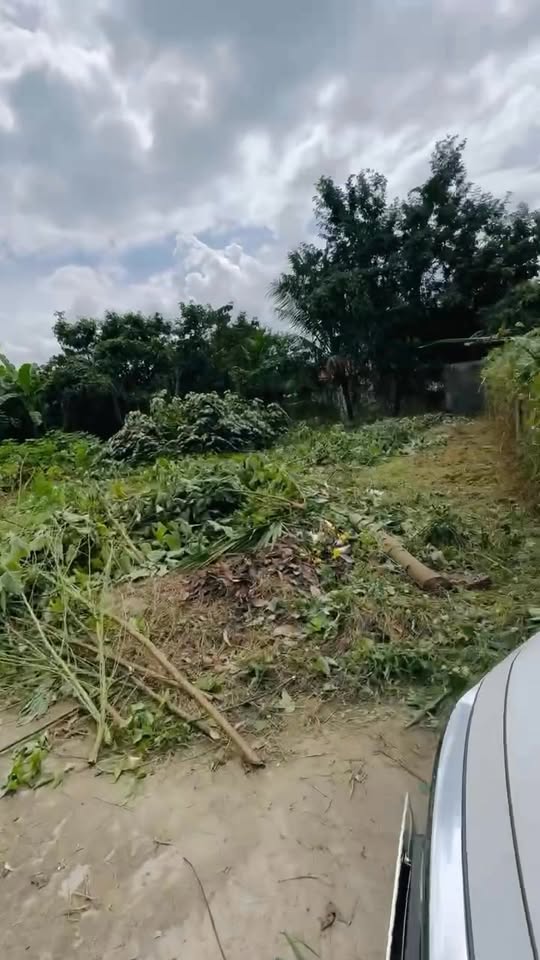 Đất nền Diên Lạc 83m² giá chỉ 1.2 tỷ - Cơ hội đầu tư hấp dẫn!