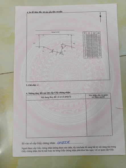 Đất vườn Tam Dương 1576m² giá thỏa thuận - Đầu tư lâu dài, có thể lên thổ cư!
