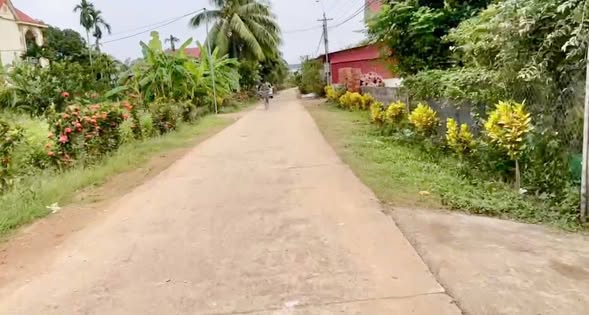 Đất thổ cư 1606m² tại Thành Minh, Thạch Thành, Thanh Hóa chỉ 1.606 tỷ - Cơ hội đầu tư tuyệt vời!