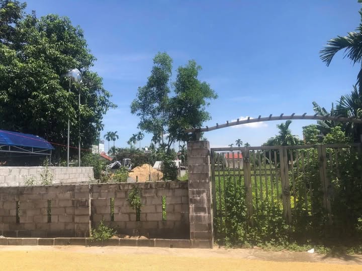 Đất vườn Hẻm 244 Hoàng Hoa Thám 820m² giá 1.3 tỷ - Cơ hội đầu tư tuyệt vời!