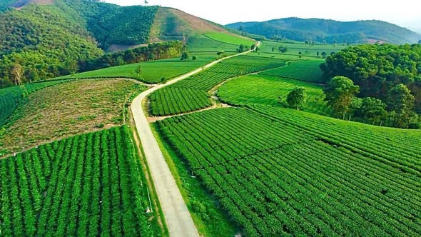 Đất thổ cư Võ Miếu, Thanh Sơn 1418m² giá 1 tỷ - Tiềm năng đầu tư cao!