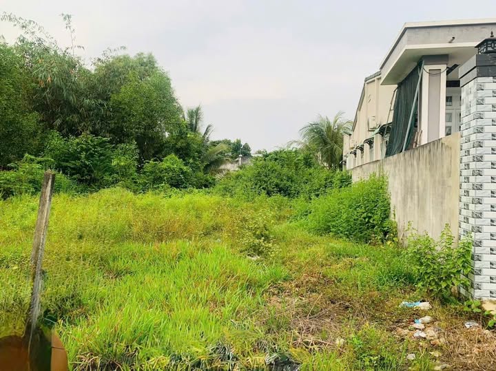 Đất nền Thanh Điền Châu Thành 160m² giá 300 triệu - Sổ đỏ chính chủ!