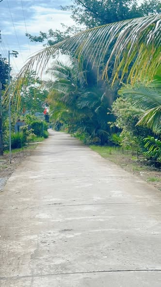 Đất nền 870m² tại ấp Đá Nổi A, xã Thạnh Đông, Tân Hiệp - Giá 700 triệu!