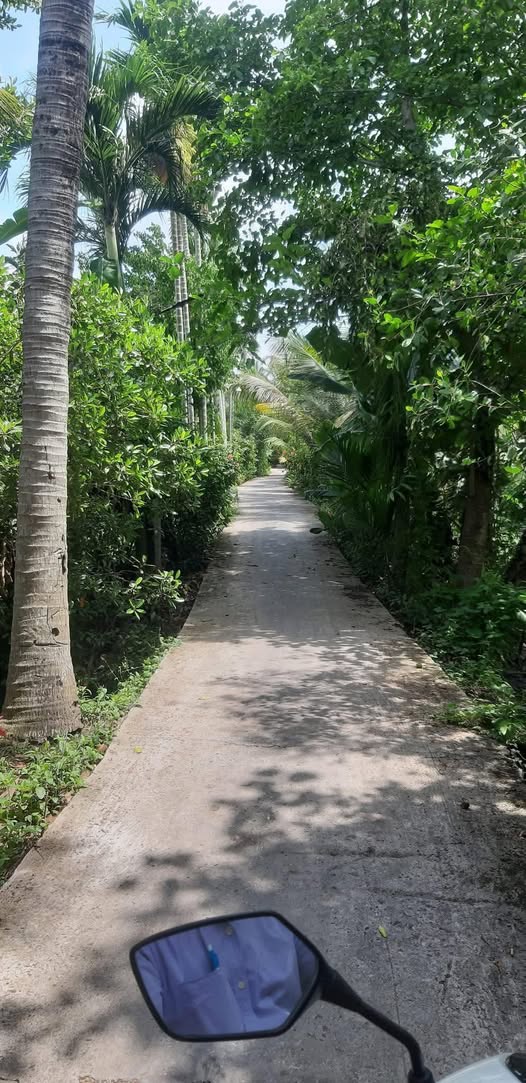 Đất nền Ấp Quy Long, xã Vĩnh Thạnh, 228m² giá 420 triệu - Đầu tư sinh lời ngay!