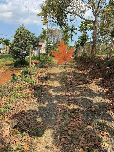 Đất Phú Xuân 290m² giá 2.9 tỷ - Cơ hội đầu tư hiếm có!