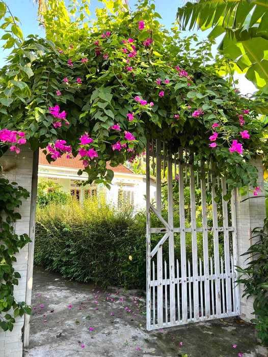 Nhà cấp 4 Bỉm Sơn 123m² giá 1.8 tỷ - Vị trí trung tâm kinh doanh sầm uất!