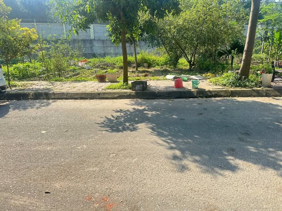 Bán đất biệt thự 200m² Khu đô thị Nam Đầm Vạc - Giá chỉ 6.6 tỷ, sổ đỏ chính chủ!