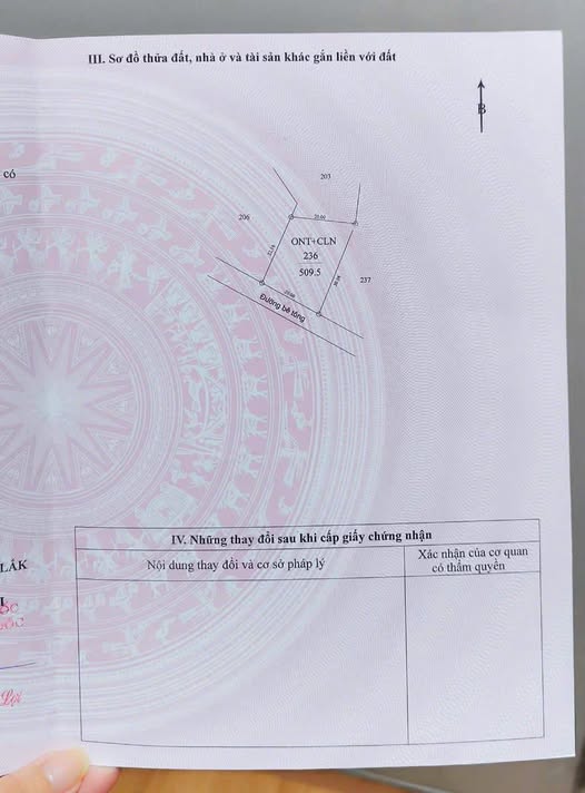 Bán lô đất 600m² mặt tiền đường bê tông tại Phú Xuân chỉ 900 triệu - Đầu tư sinh lời ngay!