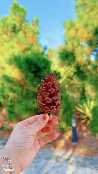 Đất thổ cư 508m² tại Bình Khê, Đông Triều - Giá chỉ 4xx triệu - Mặt tiền rộng 16.5m!