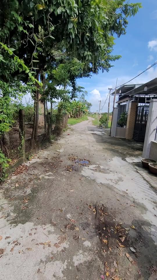 Đất thổ cư Trường Xuân, Tam Kỳ 245m² giá 900 triệu - Lô đất tiềm năng chờ đón bạn!