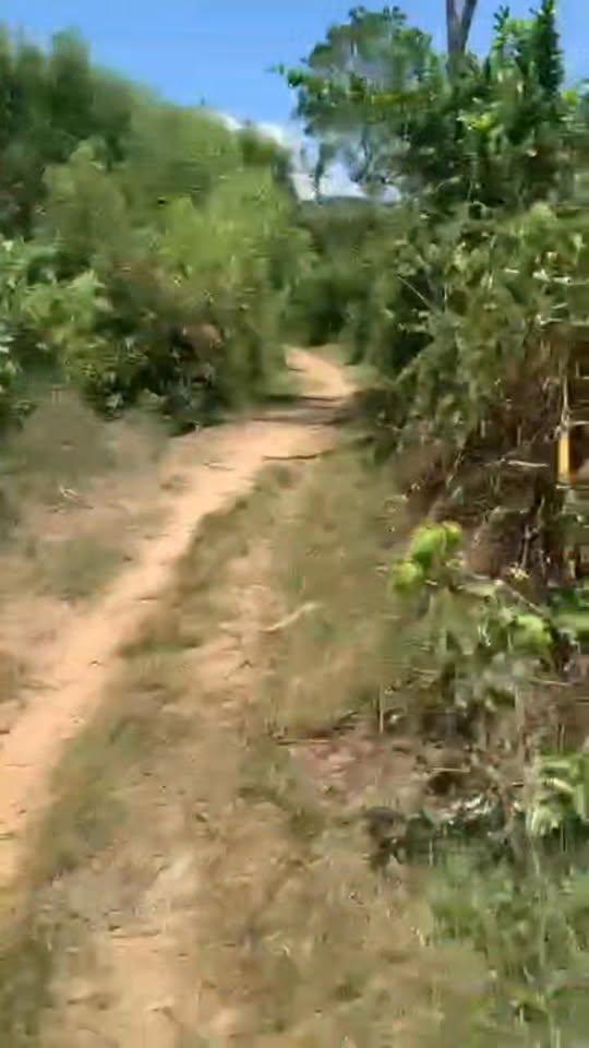 Đất vườn Tịnh Hiệp, Sơn Tịnh, Quảng Ngãi 230m² - Giá chỉ 50 triệu!