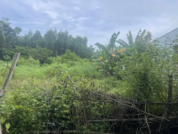 Đất nền Tam Dân 300m² giá chỉ 4xx triệu - Cơ hội đầu tư tuyệt vời!