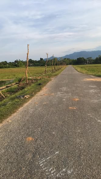 Đất thổ cư Cự Nẫm 280m² giá 780 triệu - Đường nhựa, kinh doanh nhỏ