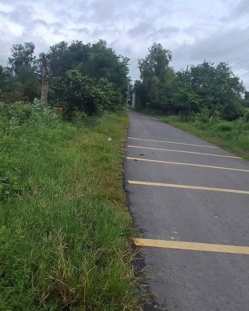 Đất mặt tiền nhựa Hàm Chính 1500m² giá 900 triệu - Đầu tư sinh lời ngay!