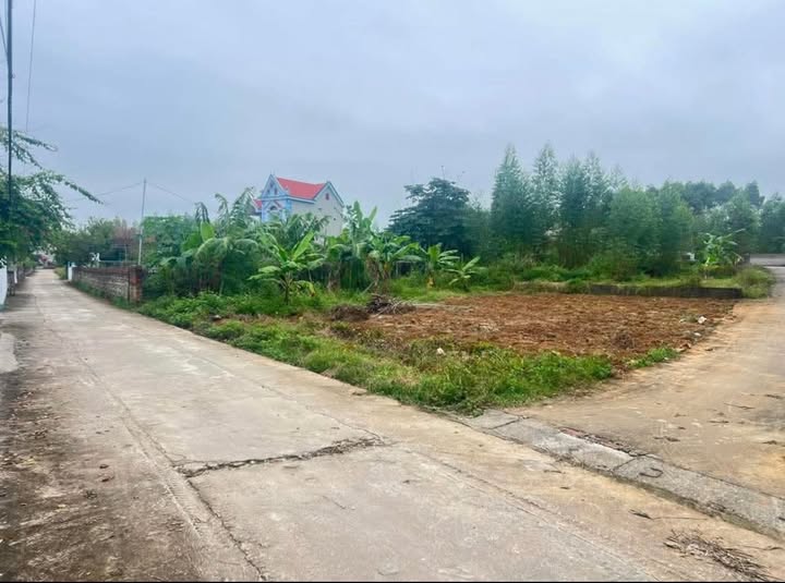 Đất nền Lục Nam Bắc Giang 125m² giá 700 triệu - Cơ hội đầu tư hấp dẫn!