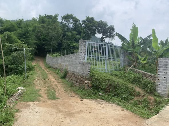 Đất nghỉ dưỡng Hợp Tiến Kim Bôi 742m² giá chỉ 1 tỷ - Đầu tư tiềm năng sinh lời!