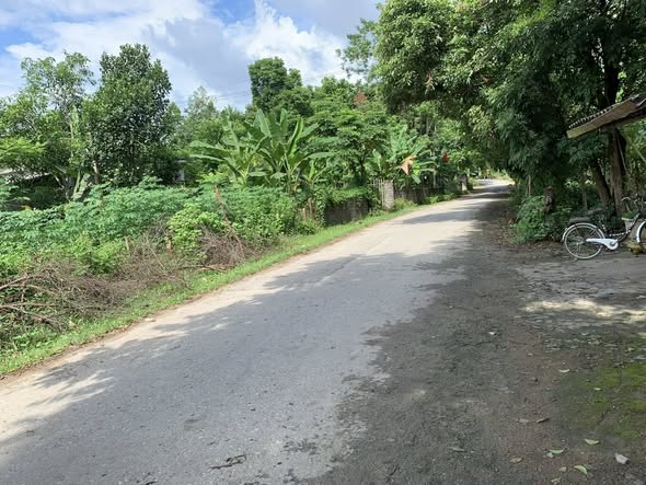 Đất thổ cư 100m² tại Sào Báy - Kim Bôi 550m² giá chỉ 1 tỷ - Cơ hội đầu tư tuyệt vời!