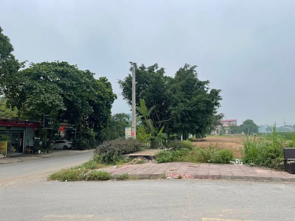 Đất nền khu đấu giá Hoa Sơn, Lập Thạch 100m² - Kinh doanh sầm uất, giá thỏa thuận!