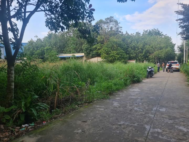 Đất nền Hưng Hòa Bàu Bàng 768m² giá 3.95 tỷ - Đầu tư sinh lợi ngay!