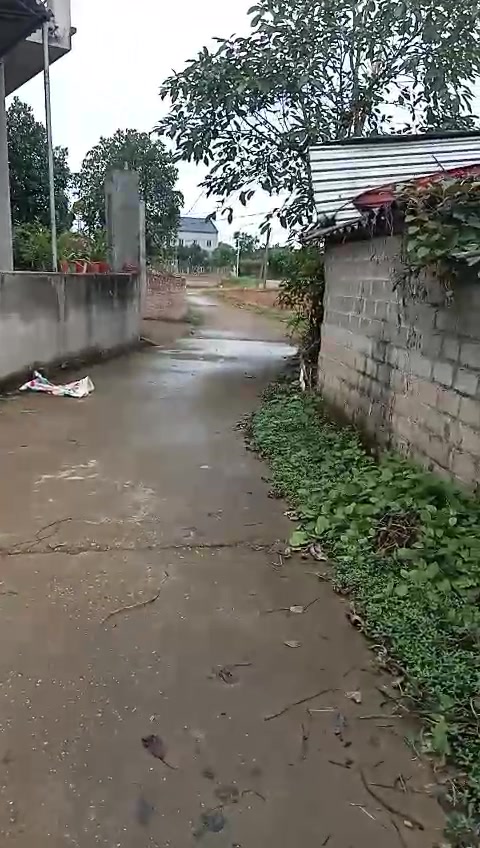 Đất nền Việt Lập 129m² giá chỉ 7xx triệu - Cơ hội đầu tư tuyệt vời!