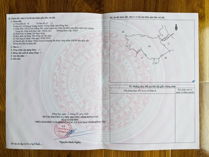 Đất nền Quang Trung, Thống Nhất 3600m² giá chỉ 320 triệu - Cơ hội đầu tư hiếm có!