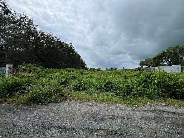 Đất mặt tiền nhựa xã Thái Mỹ, Củ Chi 547m² - Giá chỉ 1 tỷ, cơ hội đầu tư tuyệt vời!