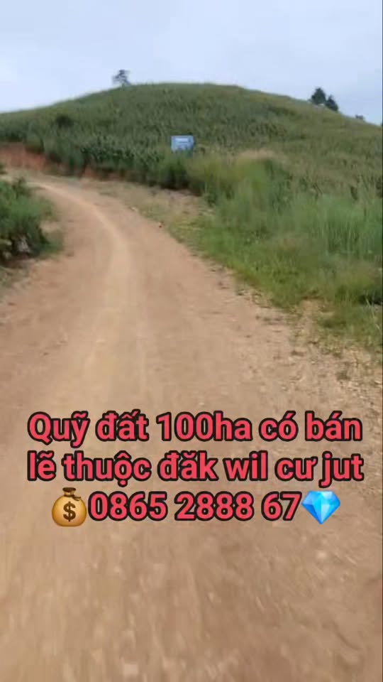 Đất nền 10.000m² Cư Jút Đắk Nông giá 3.5 tỷ - Sổ đỏ chính chủ, bán gấp!