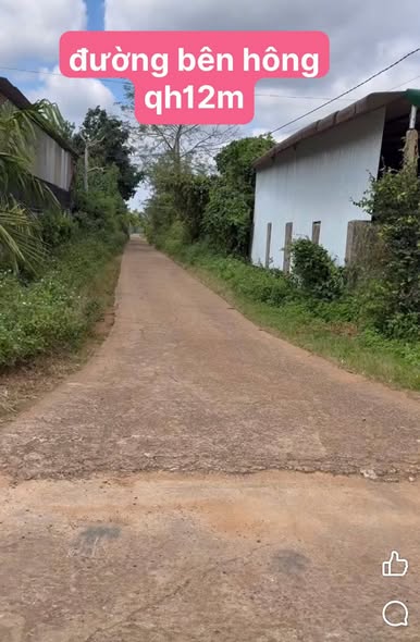 Đất thổ cư Phú Lộc, Krông Năng 60m² giá 600 triệu - Cơ hội đầu tư hấp dẫn!