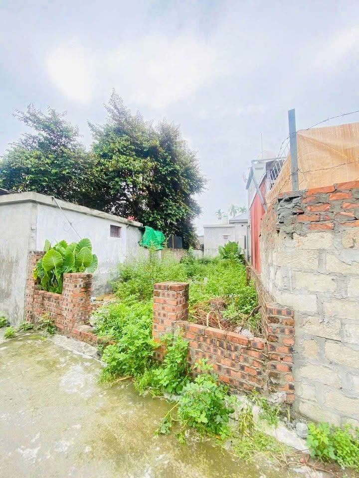 Đất nền Lê Thiện An Dương 52m² giá 820 triệu - Cơ hội đầu tư hấp dẫn!