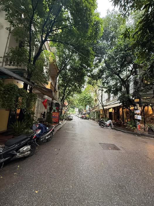 Biệt thự KĐT Dịch Vọng 200m² giá thỏa thuận - Sẵn sàng vào ở ngay!