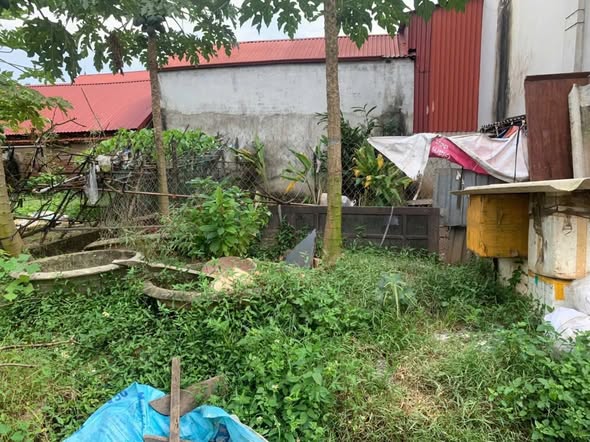 Đất nền Ngọc Tảo Phúc Thọ 48m² giá 1.75 tỷ - Vị trí đẹp, đầu tư sinh lời!