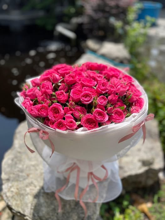 FrontHouse đường DX 006 Phú Mỹ 121.5m² giá 3 tỷ - Cơ hội đầu tư hấp dẫn!