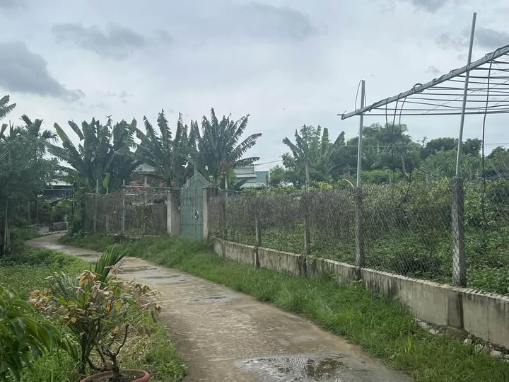 Đất nền Phước Quang, Tuy Phước 101m² giá thỏa thuận - Cơ hội đầu tư tuyệt vời!