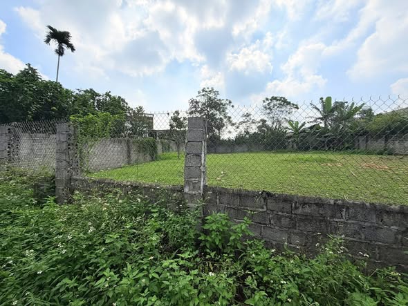 Đất thổ cư 400m² tại Xuân Thủy, Yên Lập - Giá chỉ từ 300 triệu!