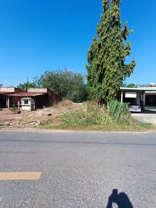 Đất nền Tân Hòa 1080m² giá 730 triệu - Đầu tư sinh lời ngay!