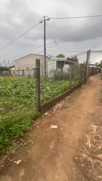 Đất thổ cư 24m² xã Thăng Hưng, giá 67 triệu - Sổ hồng chính chủ, thương lượng ngay!