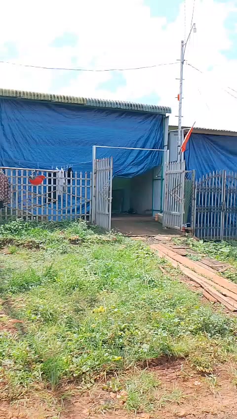 Đất nền đường Lê Hồng Phong, xã Đức Cơ, 120m² chỉ 800 triệu - Cơ hội đầu tư tuyệt vời!