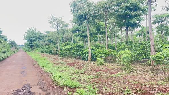 Đất nền 1.000m² phường Thành Nhất - Giá chỉ 1.28 tỷ VND - Cơ hội đầu tư tuyệt vời!